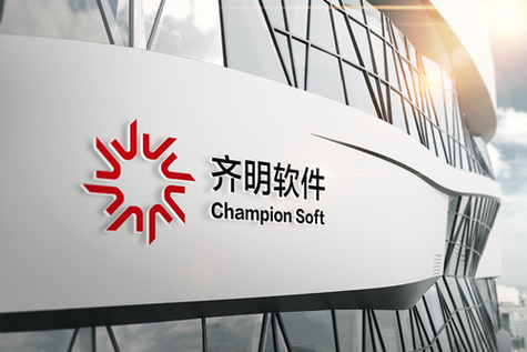 软件产品与行业解决方案,it运维等360&deg;信息技术服务,通过向客户及时