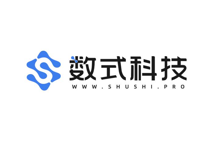 杭州数式网络科技 以专业信息技术咨询服务，驱动企业数字化转型